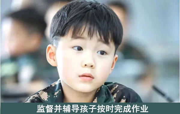哪里可以找到篮球训练的模范案例_1